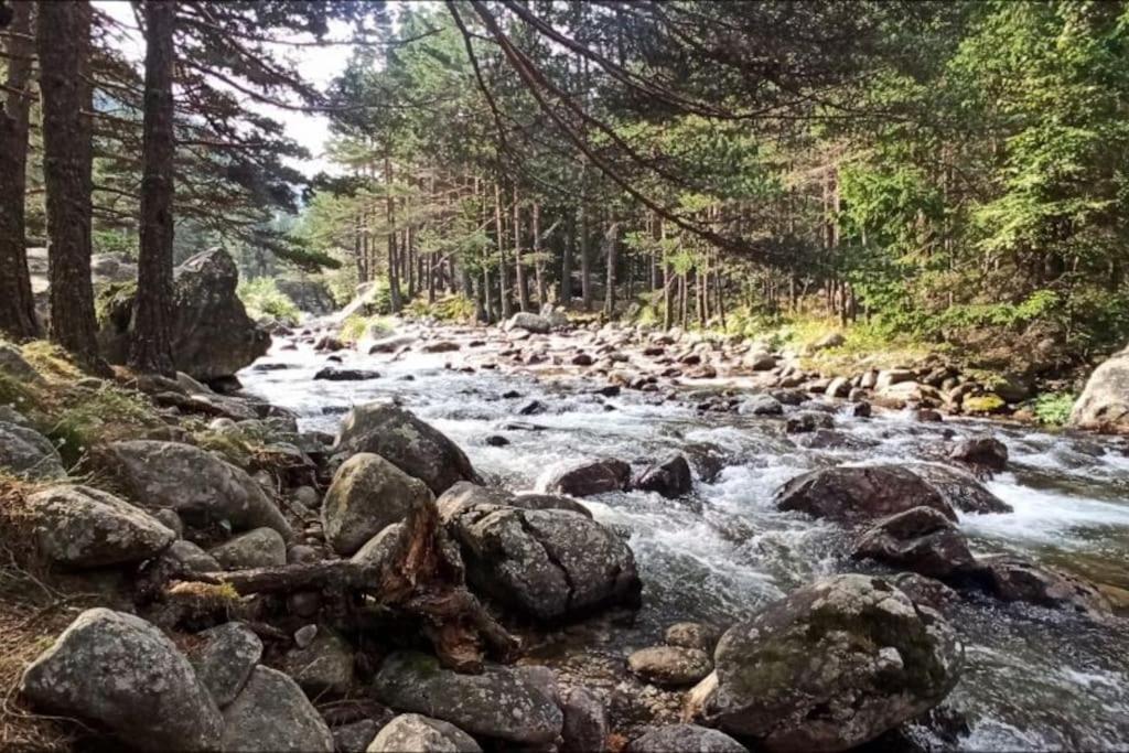 Апартамент Edelweiss Beli Iskar Buitenkant foto